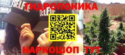 спайс Будённовск