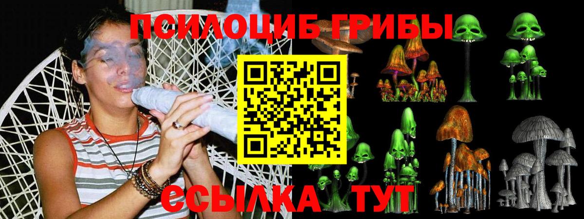 Псилоцибиновые грибы MAGIC MUSHROOMS Вышний Волочёк