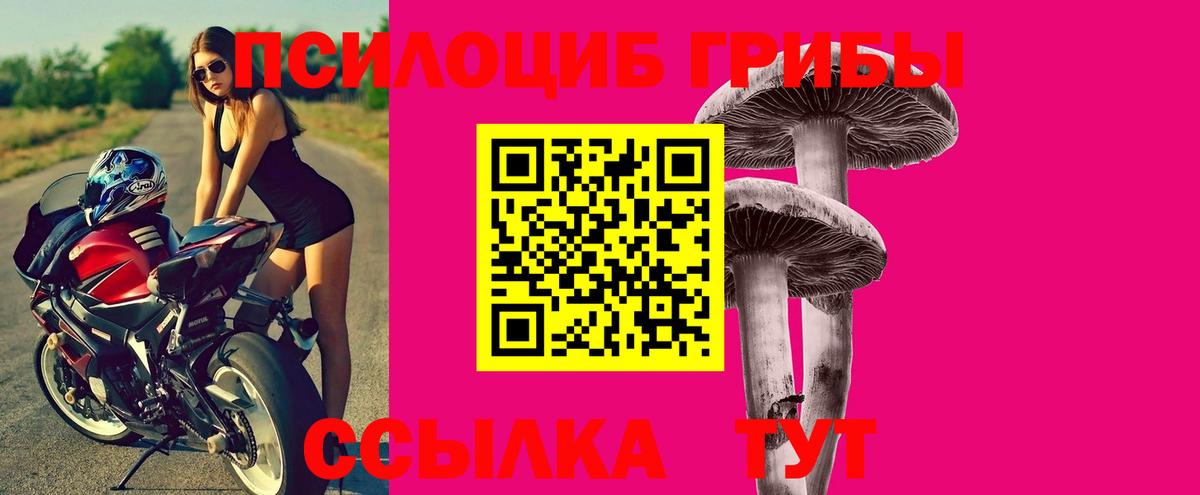 Галлюциногенные грибы прущие грибы  Вышний Волочёк 