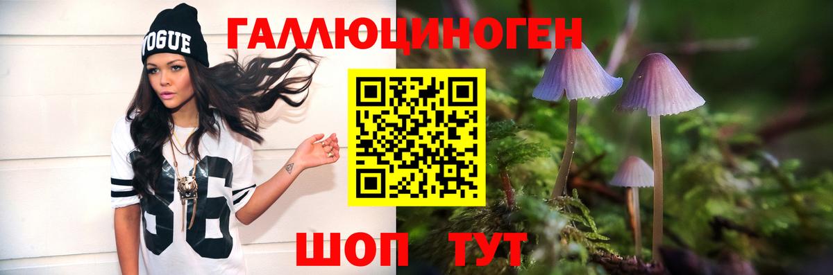 Галлюциногенные грибы прущие грибы  Вход с VPN  Вышний Волочёк 