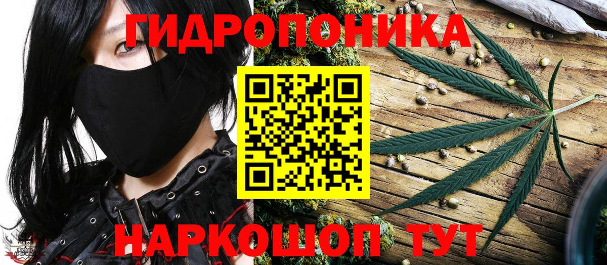 Вышний Волочёк  Марихуана ГИДРОПОН  Шишки марихуана конопля  Вход с VPN  Каннабис OG Kush  Шишки марихуана конопля 